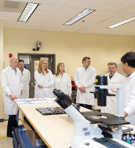 Menschen in weißen Laborkitteln stehen vor Mikroskopen in einem Labor.
