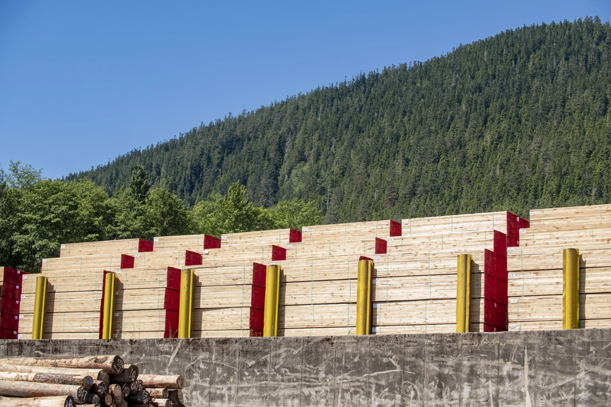 Prince Rupert Forestry, Massivholz