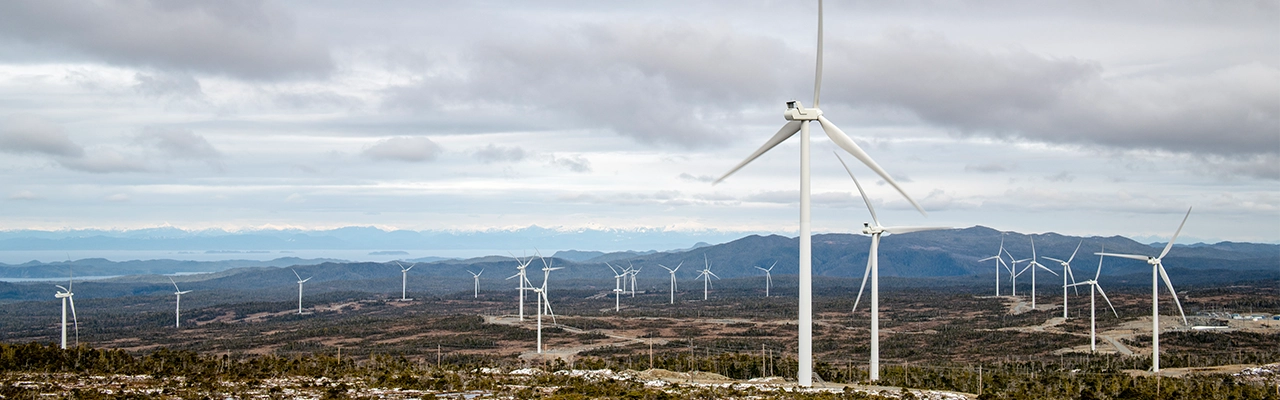 Windparks in Cape Scott